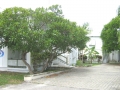 Real Estate -  00 Dover, Christ Church, Barbados - 